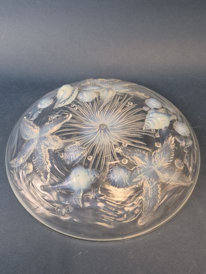 Grand plat creux en verre opalescent moulé...