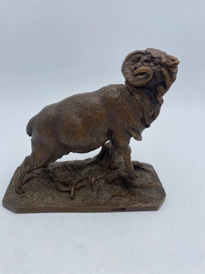 After Pierre-Jules MENE - Ibex 
Bronze with...