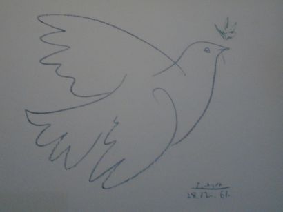 PICASSO: World Congress for Disarmament and...