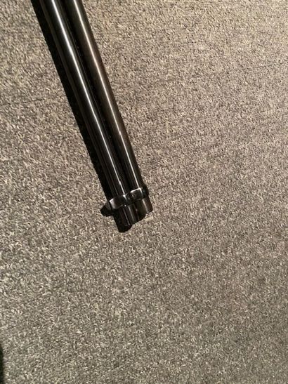 Carabine ROSSI à levier sous garde 
Calibre...