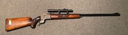 Carabine EFB Luna bloc tombant calibre 22...
