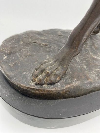 Jules MOIGNIEZ (1835-1894)
Stopping dog
Bronze...
