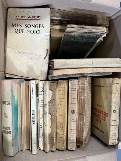 LITTERATURE - HISTOIRE - CONTES - ANNALES...