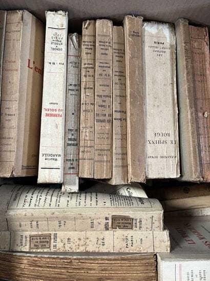 LITTERATURE
Romain ROLLAND, Jean ROGISSART,...