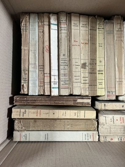 LITTERATURE 
Octave MIRBEAU, Georges RODENBACH,...