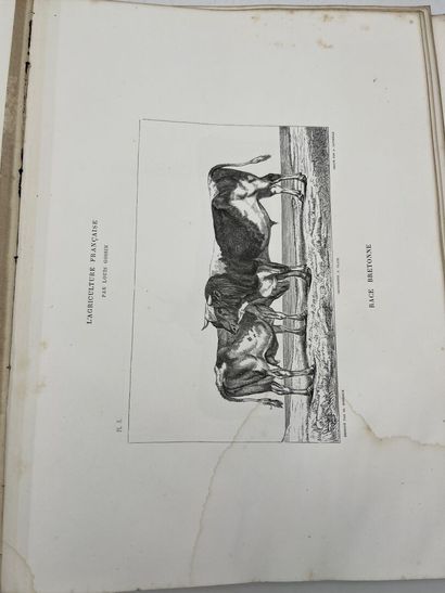 AGRICULTURE 
Louis GOSSIN, PRINCIPES D'AGRICULTURE...