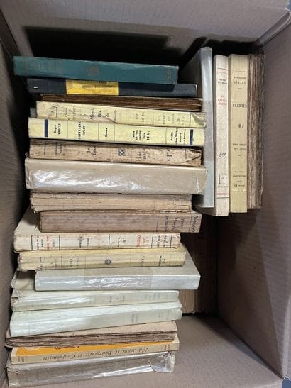 POESIE - HISTOIRE - MAXIME - LITTERATURE...