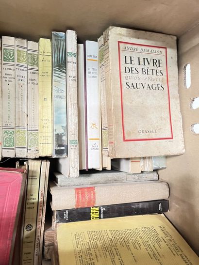 HISTOIRE NATURELLE
Charles SILVESTRE, Docteur...