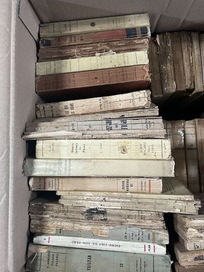 LITTERATURE 
Hector FLEISCHMANN, Paul CAMBON,...