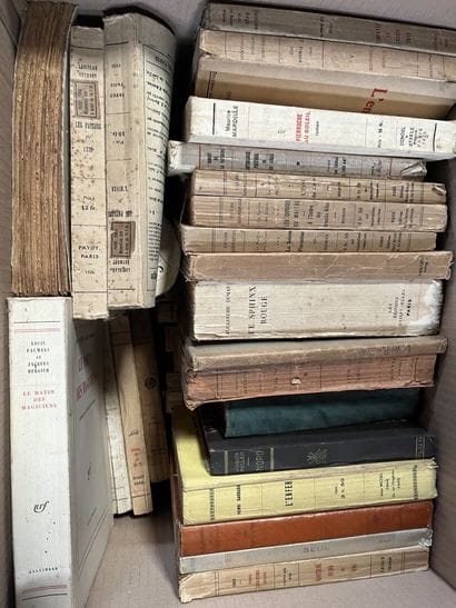 LITTERATURE
Romain ROLLAND, Jean ROGISSART,...