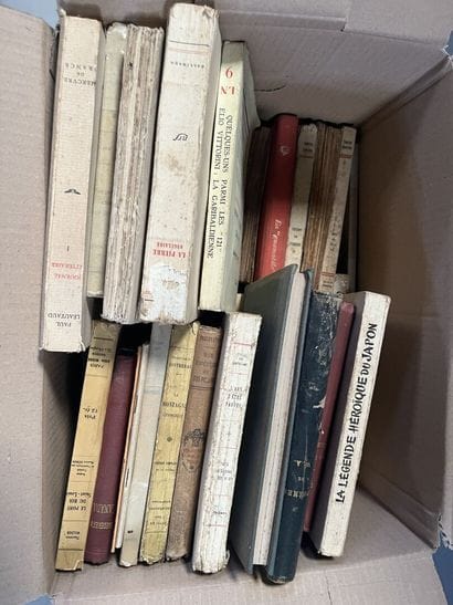LITTERATURE 
Rejean DUCHARME, Jean GIRAUDOUX,...