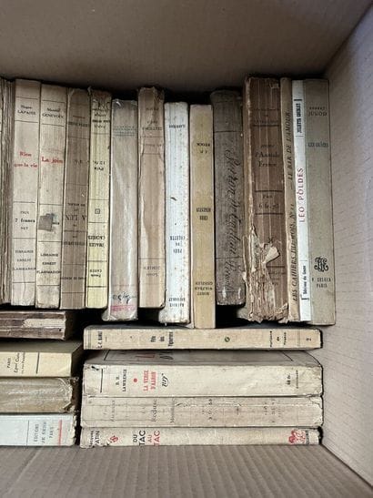 LITTERATURE 
Octave MIRBEAU, Georges RODENBACH,...