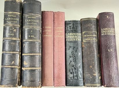 LAROUSSE 
LAROUSSE COMMERCIAL ILLUSTRE, NOUVEAU...