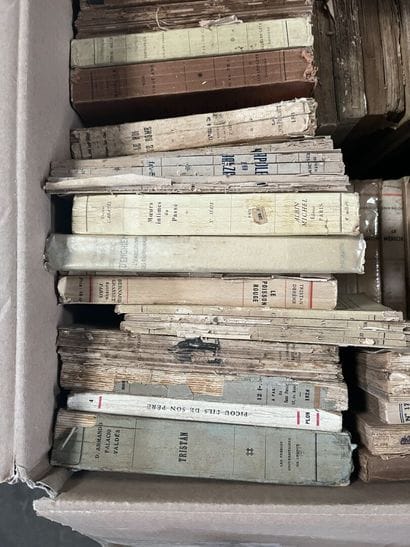 LITTERATURE 
Hector FLEISCHMANN, Paul CAMBON,...