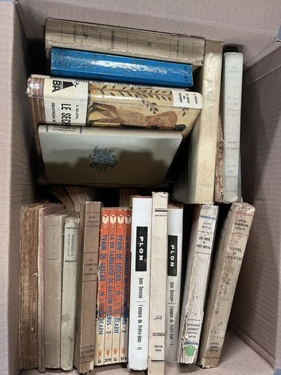 HISTOIRE - LITTERATURE 
Jean-Andre FAUCHER,...