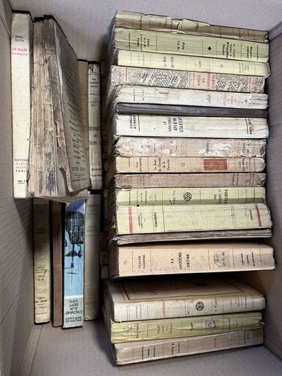 LITTERATURE 
Henri QUEFFELEC, Romain ROLLAND,...