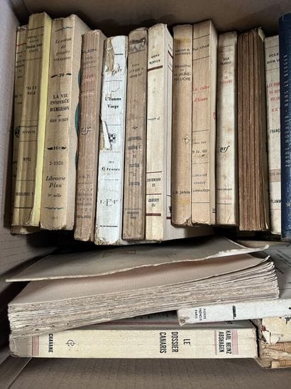 LITTERATURE 
Octave MIRBEAU, Georges RODENBACH,...
