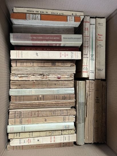 POESIE - HISTOIRE - MAXIME - LITTERATURE...