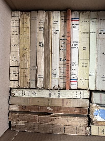 LITTERATURE 
Henri QUEFFELEC, Romain ROLLAND,...