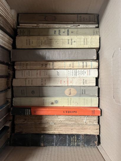 HISTOIRE - BEAUTE - LITTERATURE - CRITIQUE...