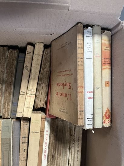 LITTERATURE 
Rejean DUCHARME, Jean GIRAUDOUX,...