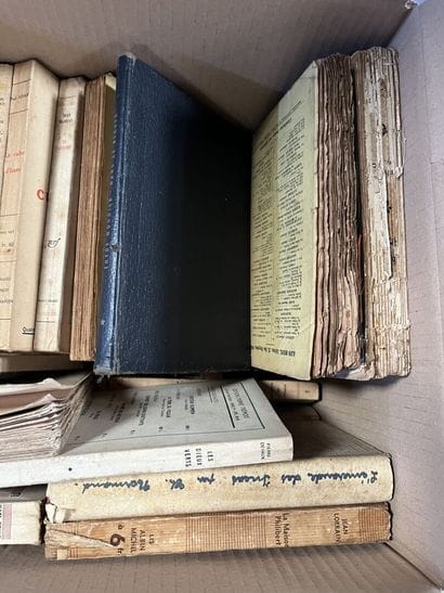 LITTERATURE 
Octave MIRBEAU, Georges RODENBACH,...