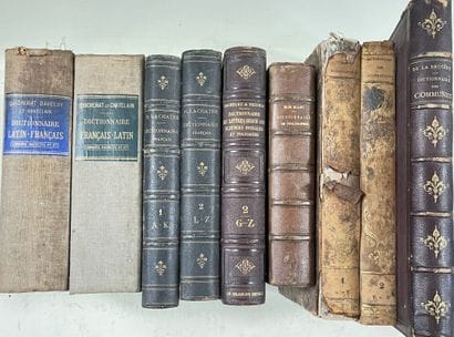 DICTIONARY 
DICTIONNAIRE FRANCAIS (M LA CHATRE),...