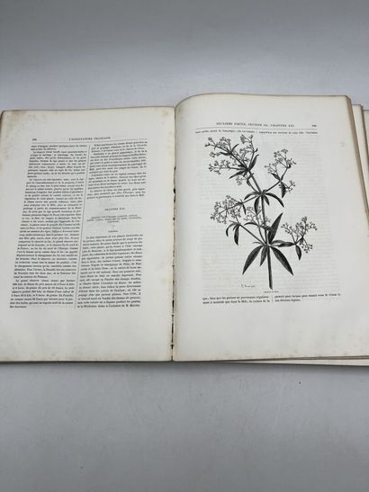 AGRICULTURE 
Louis GOSSIN, PRINCIPES D'AGRICULTURE...