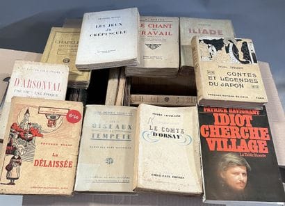 LITTERATURE - HISTOIRE - CONTES - ANNALES...