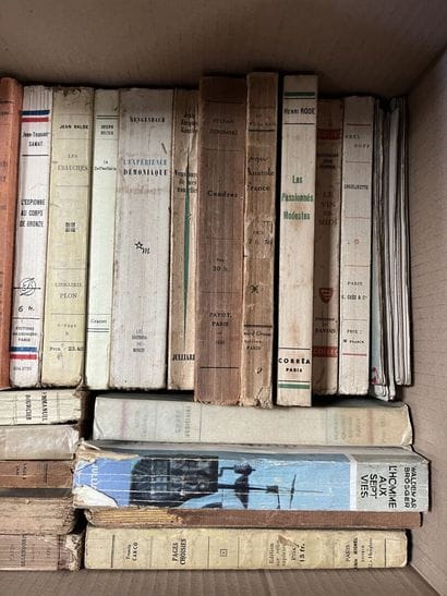 LITTERATURE 
Henri QUEFFELEC, Romain ROLLAND,...