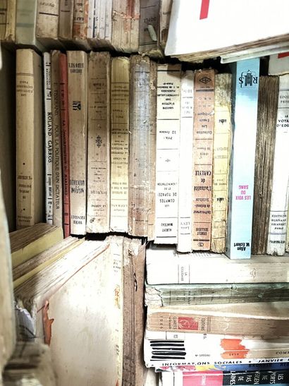 SOCIOLOGIE - HISTOIRE - POLITIQUE - LITTERATURE...