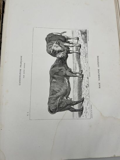 AGRICULTURE 
Louis GOSSIN, PRINCIPES D'AGRICULTURE...