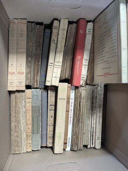 LITTERATURE 
Rejean DUCHARME, Jean GIRAUDOUX,...