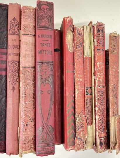 LITTERATURE 
L.HAMEAU, Marguerite LEVRAY,...