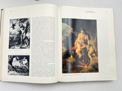 HISTOIRE DE L'ART 
Elie FAURE, HISTOIRE DE...