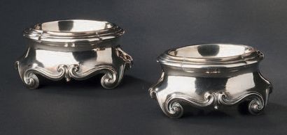 Pair of oval silver salt shakers, resting...