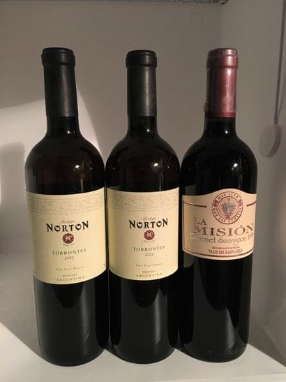 3 bouteilles dont 2 rouges de Mendoza Rorton...