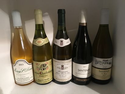12 bottles including 1 CORTON-CHARLEMAGNE...
