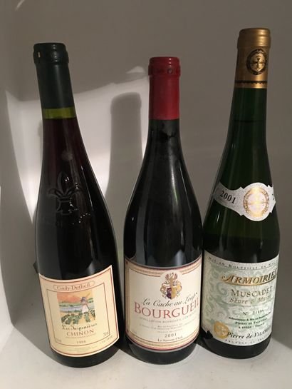 12 bouteilles dont 2 TOURAINE-AMBOISE 1989...