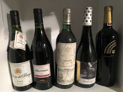 12 bouteilles dont 11 d'ESPAGNE et 1 du ...