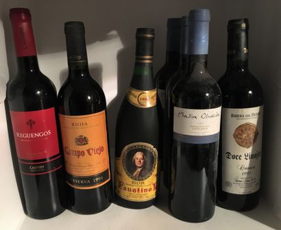 12 bouteilles dont 11 d'ESPAGNE et 1 du ...