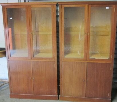 Paire de bibliothèques 2 portes vitrées