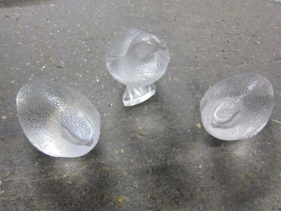 CRISTAL LALIQUE
Trois moineaux
Cristal moulé...