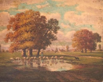 Adrien SCHULZ (1851-1931)

Troupeau s'abreuvant

Huile...