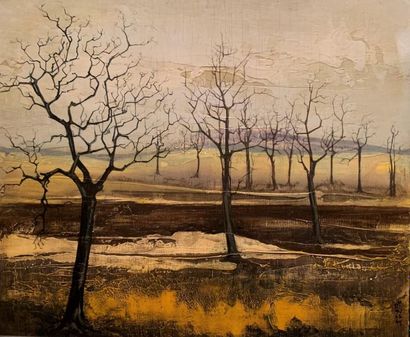 Raymond BIAUSSAT (1932)

Arbres en hiver

Huile...
