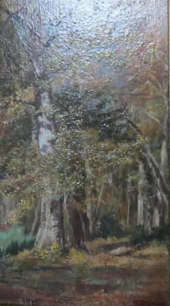 Ecole de Barbizon, XIX° siècle

Sous-bois

Huile...