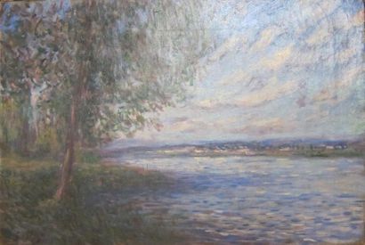 d'après Alfred SYSLEY

Paysage

Huile sur...