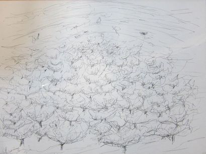 Ecole du XXème siècle

Verger sur la colline

Encre...