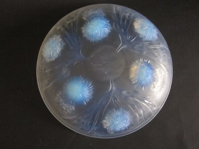 SABINO France

Coupe circulaire en verre...