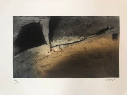 Rajendra DHAWAN (1936-2012)

[Sans titre]....